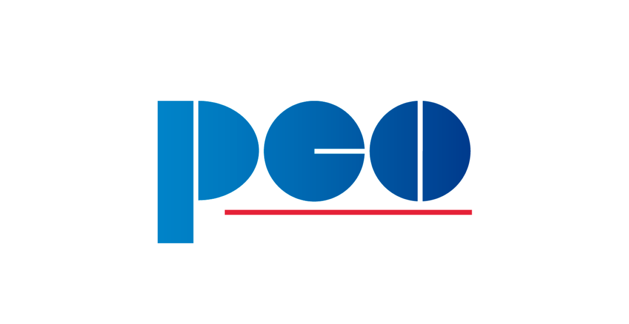 https://pcosa.com.pl/wp-content/uploads/2019/02/PCO-logo-RGB-biała-apla-1280x660.png